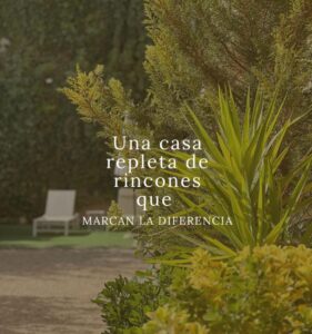 FOTO PLANTAS